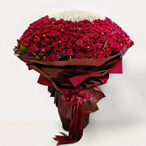 1001 Royal Red and White Roses