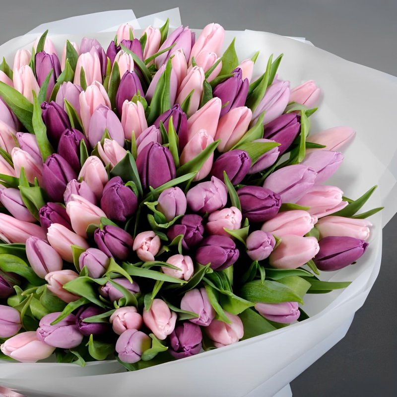 101 Pink and Purple Tulips