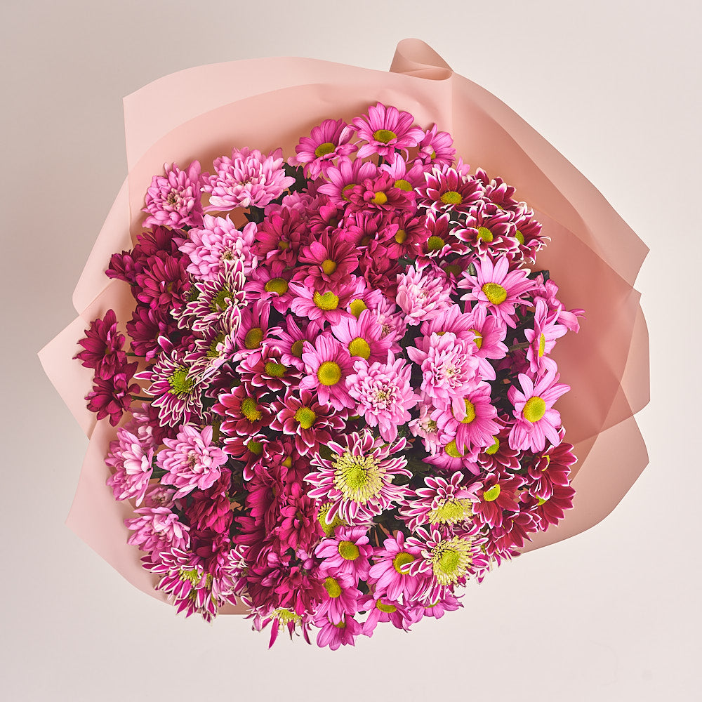 12 Pink Chrysanthemum Bouquet