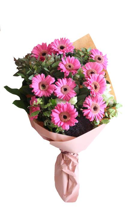 12 Pink Daisy Gerbera Bouquet