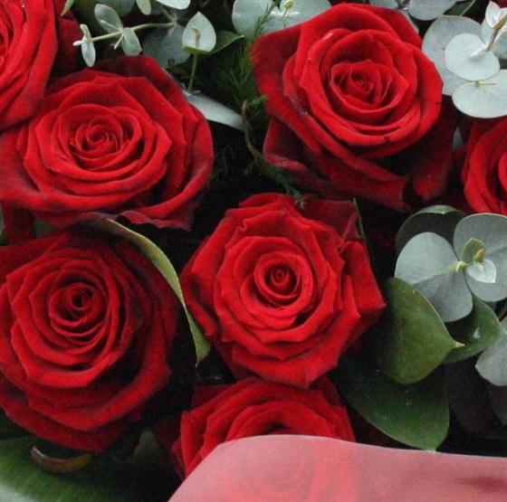 24 Red Rose Bouquet Combo