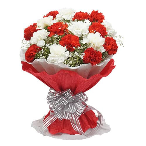 24 Red and White Carnation Bouquet