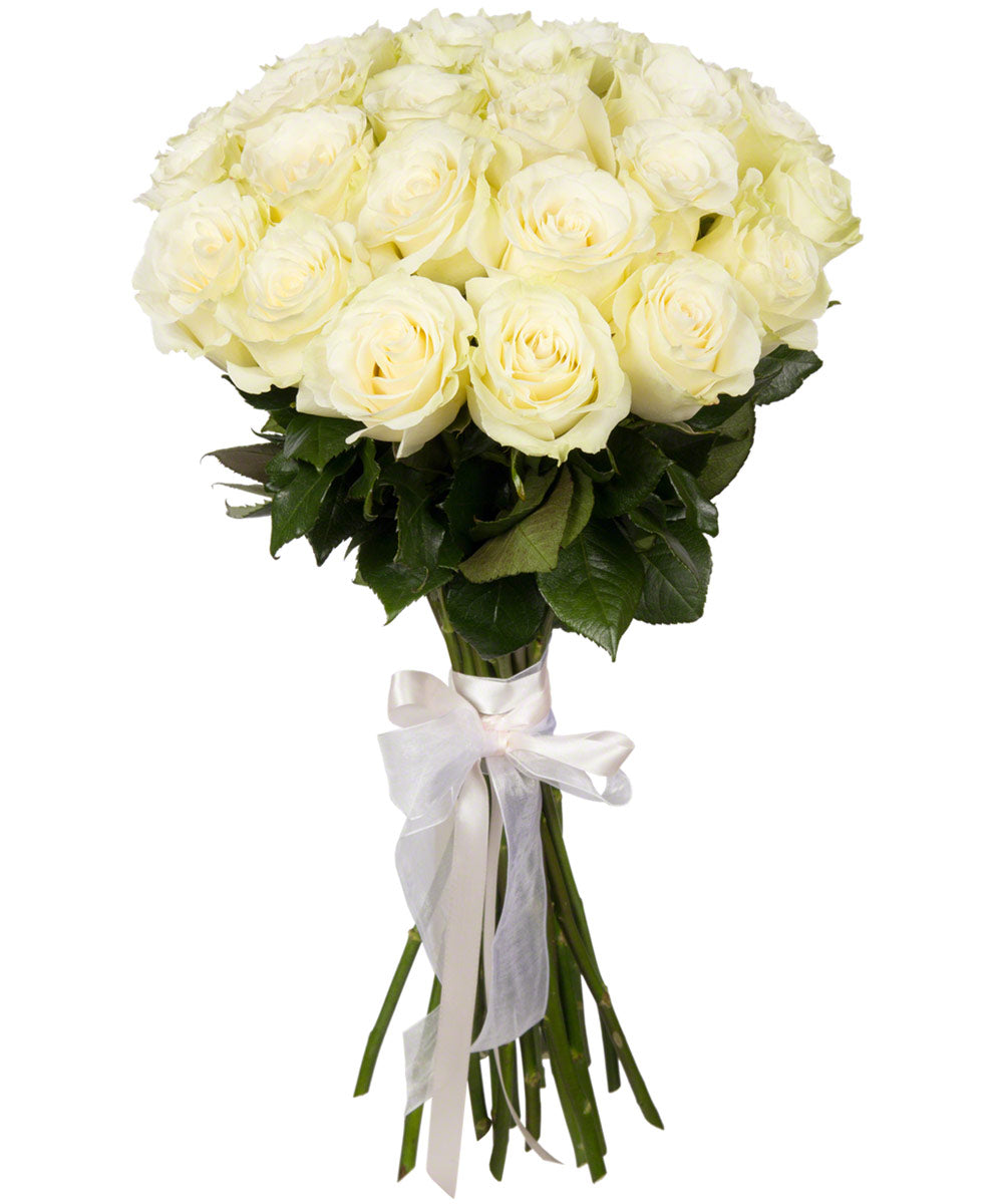 24 White Rose Hand Tied