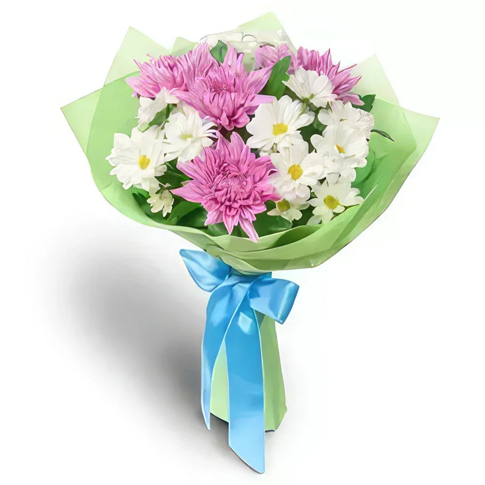 Pink and White Chrysanthemum