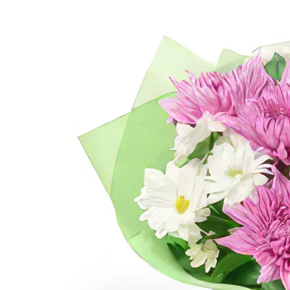 Pink and White Chrysanthemum