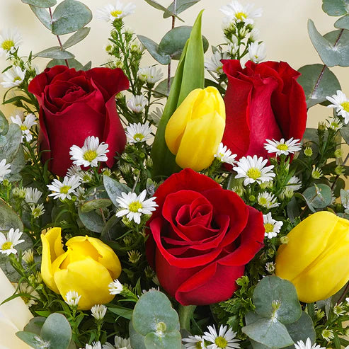 6 Red Roses And Yellow Tulips