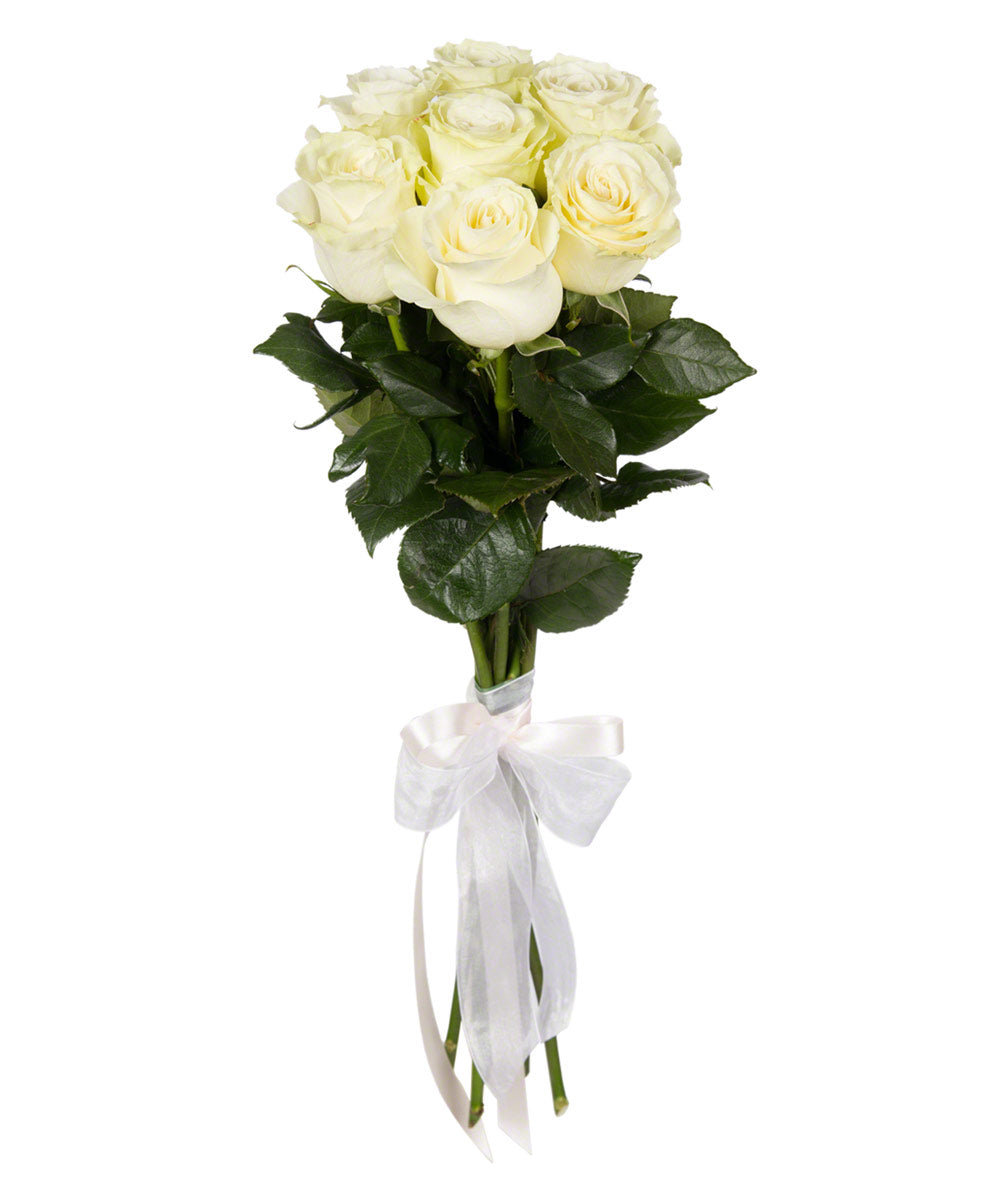 7 White Rose Hand Tied