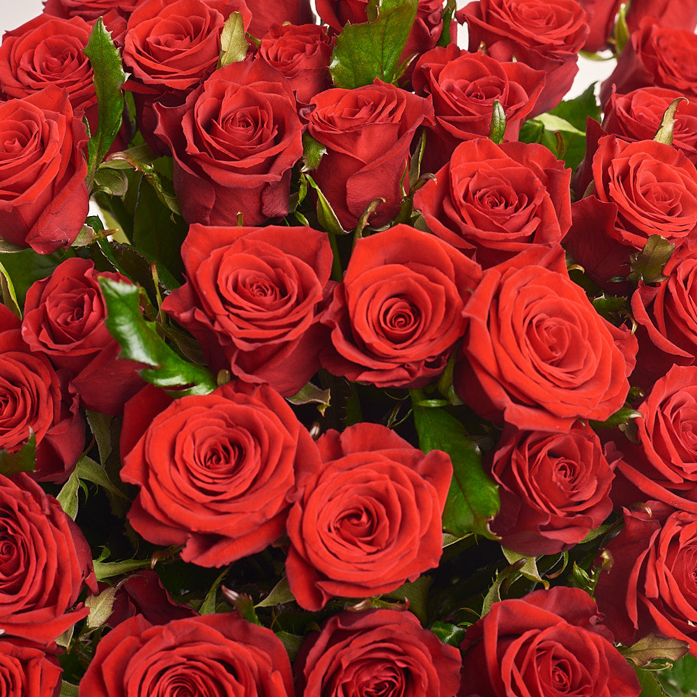 31 Classic Red Rose Bouquet