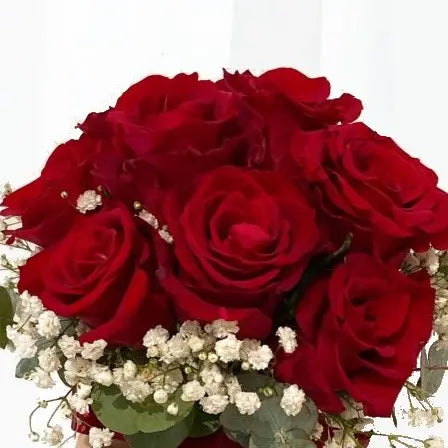 Red Rose Bridal Bouquet with Baby's Breath