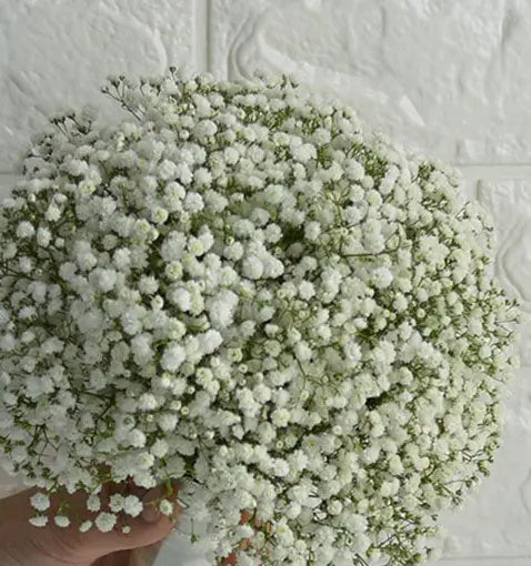 Baby's Breath Bridal Bouquet