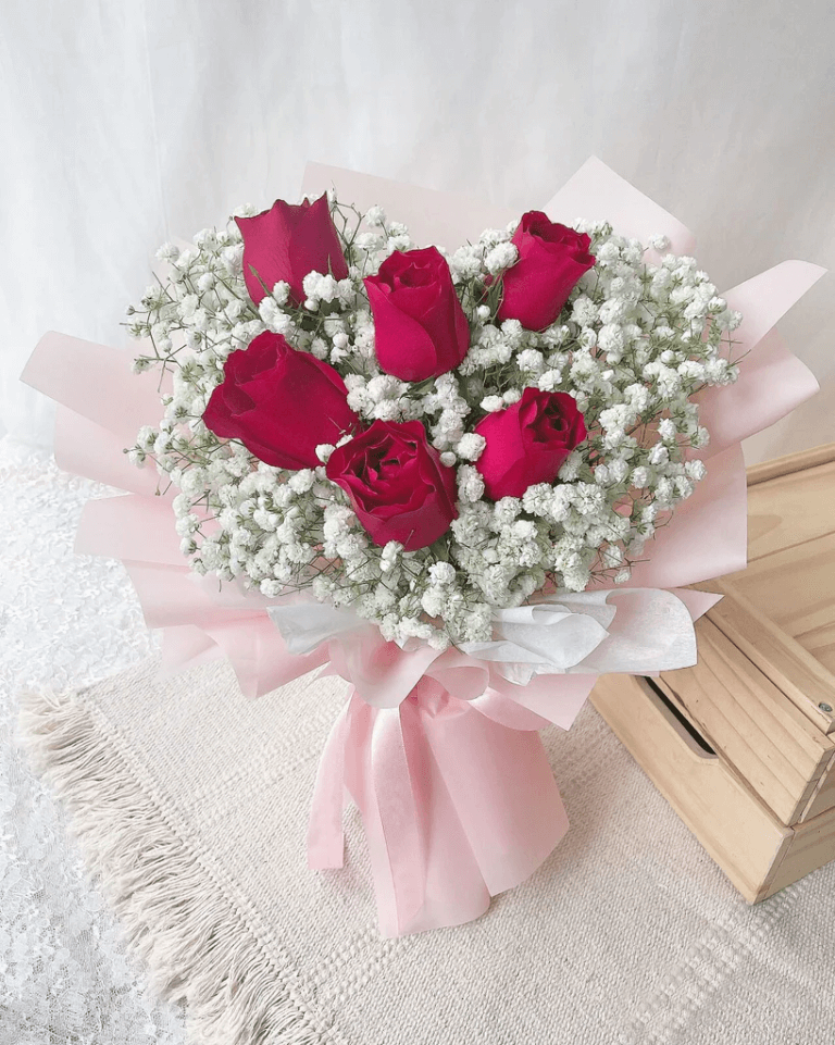 6 Elegant Red Rose