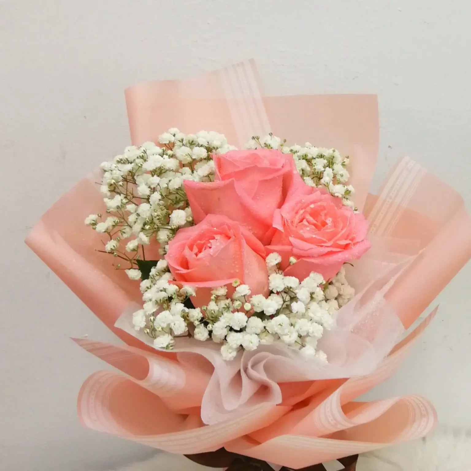 3 Coral Pink Rose