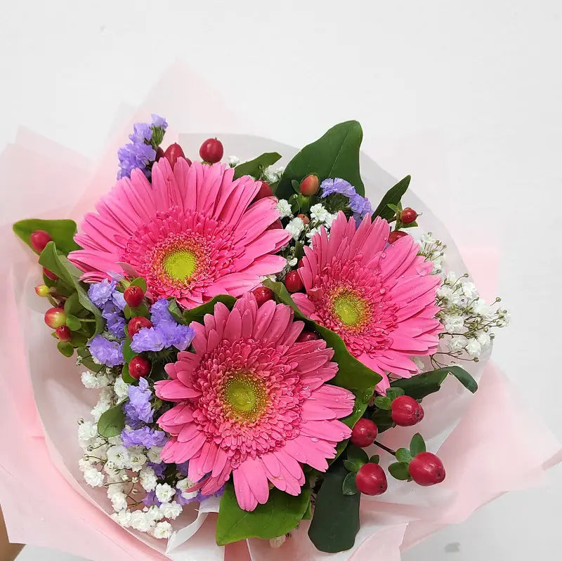 3 Dark Pink Daisy