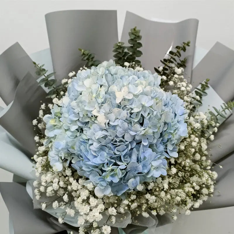 1 Blue Hydrangea