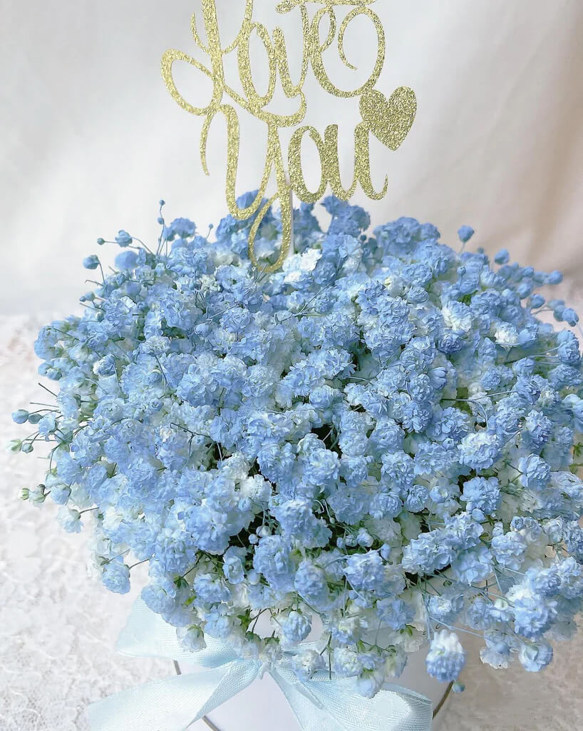 Blue Baby's Breath In Box