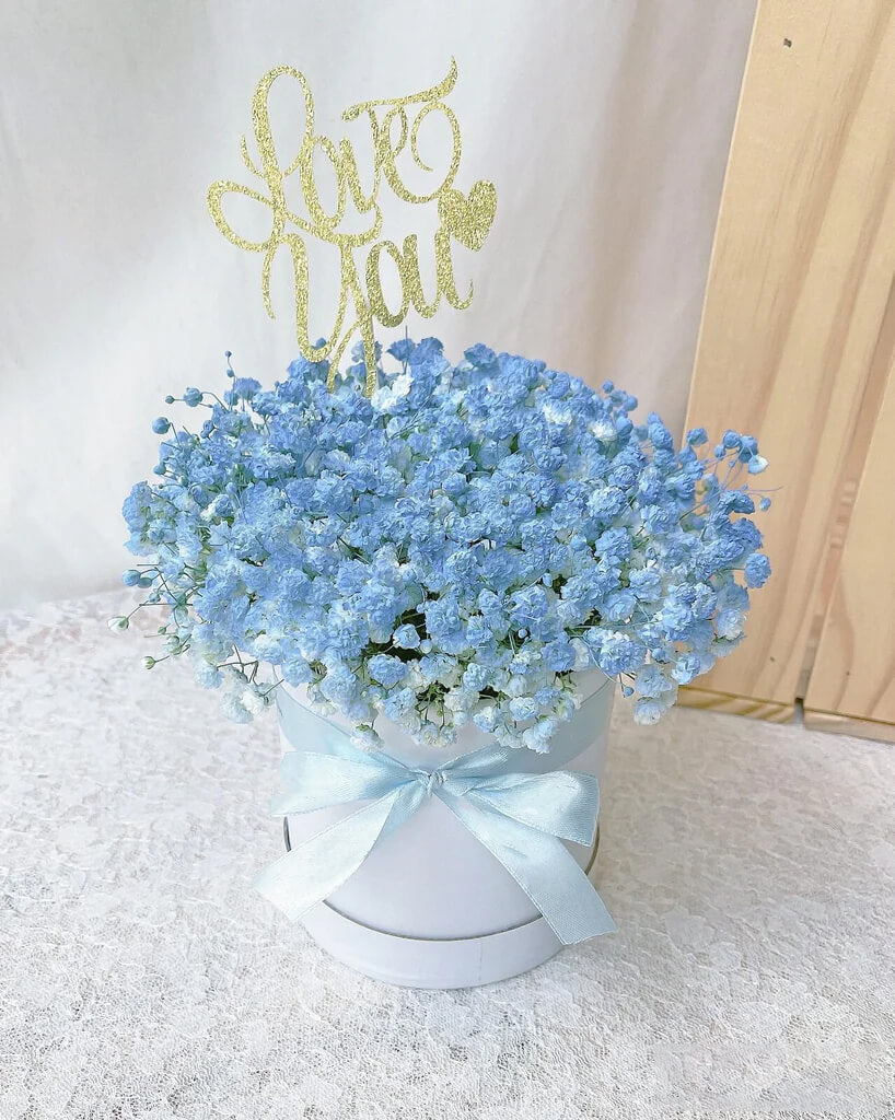 Blue Baby's Breath In Box