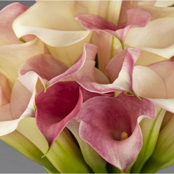 Double Shade calla lily Bridal Bouquet