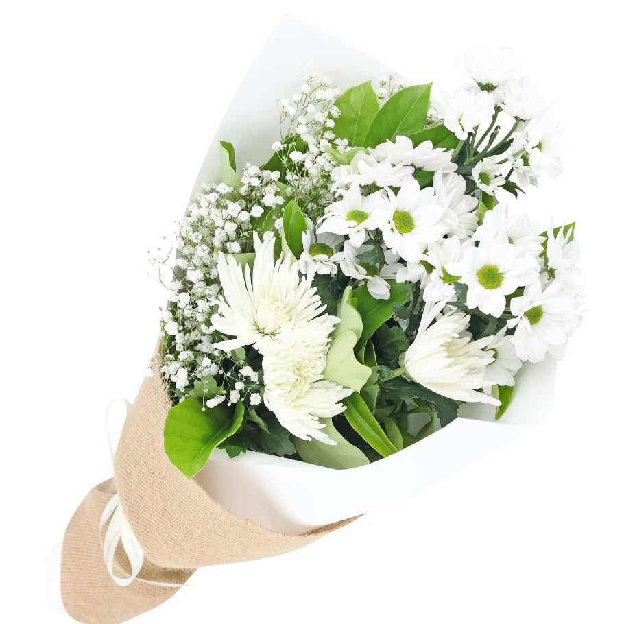 Mix White Chrysanthemum