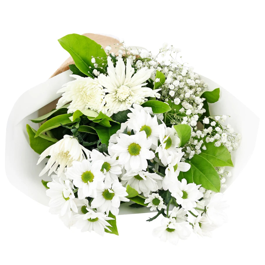 Mix White Chrysanthemum