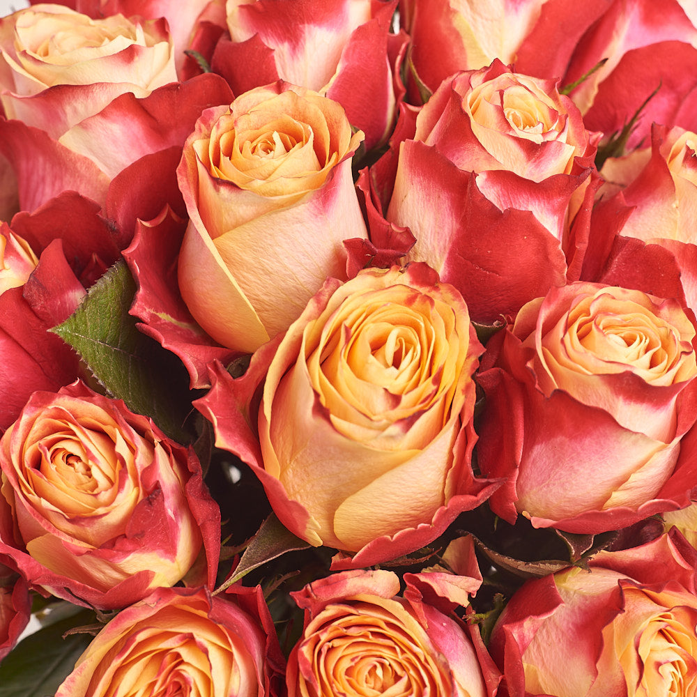 25 Cream Red Rose Bouquet