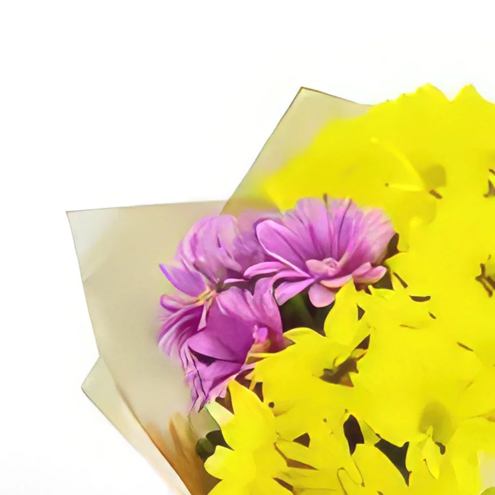 Yellow, White, Pink, Chrysanthemum