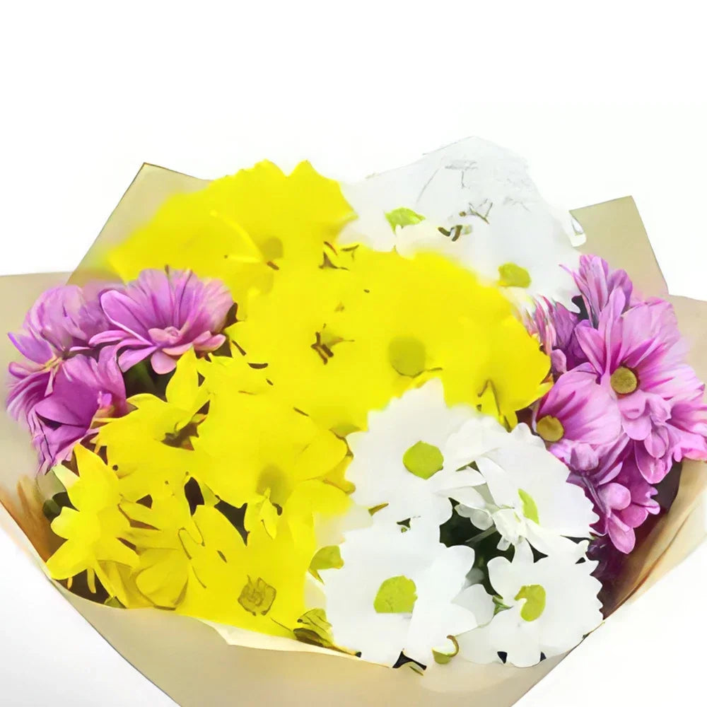 Yellow, White, Pink, Chrysanthemum