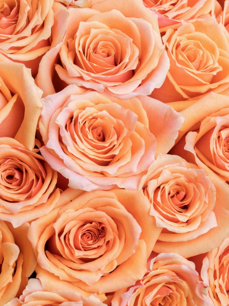 100 Rustic Orange Roses In Vase