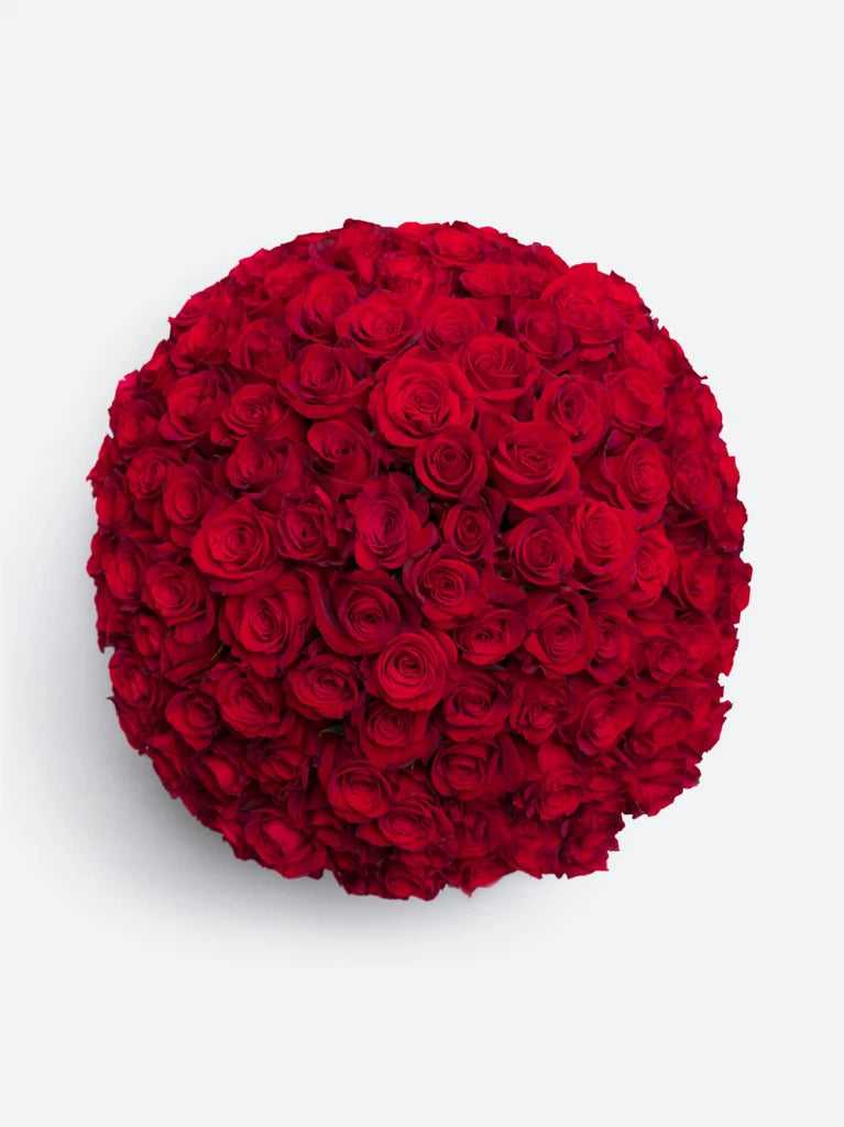 100 Red Roses In Vase