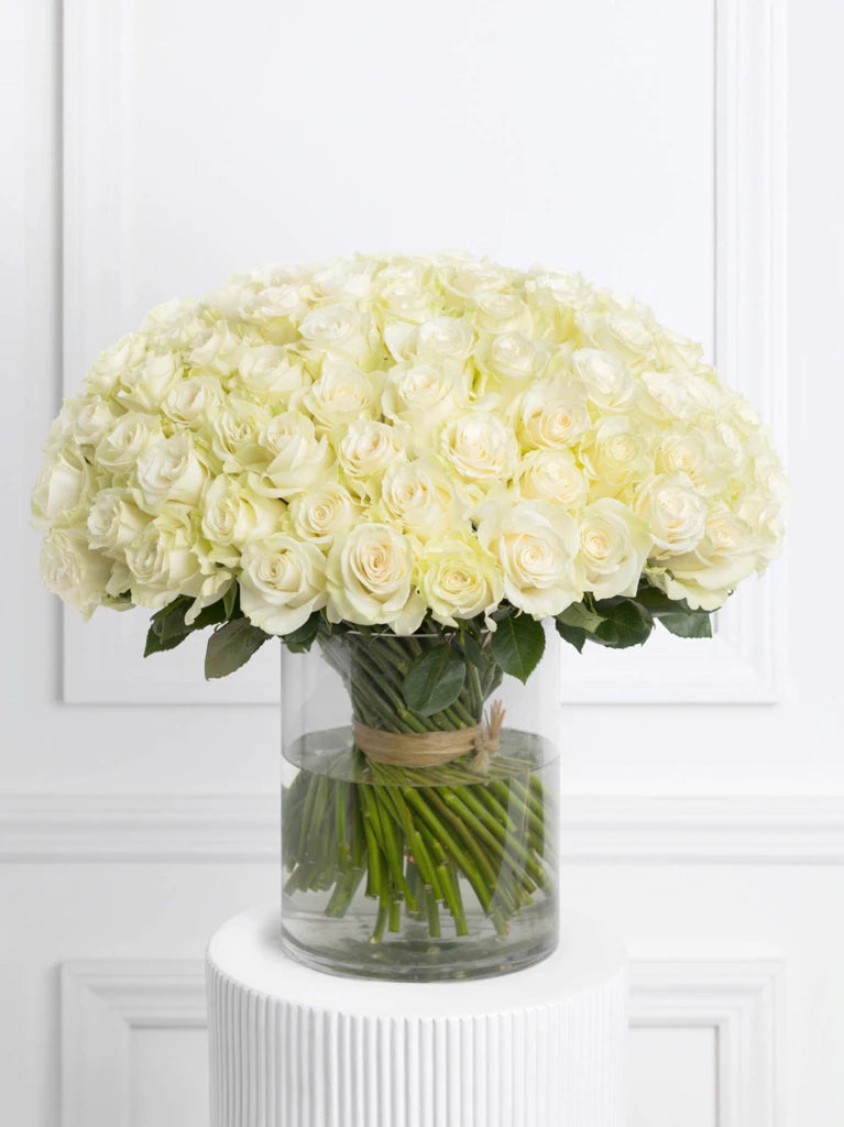 100 White Roses In Vase