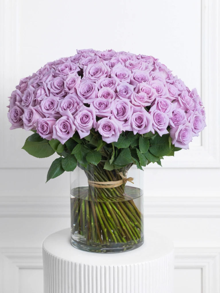 100 Purple Roses In Vase