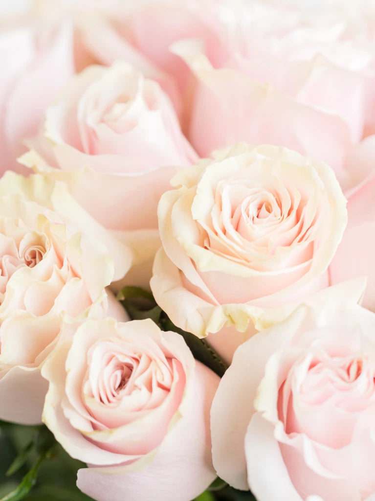 100 Light Pink Rose Vase Arrangement