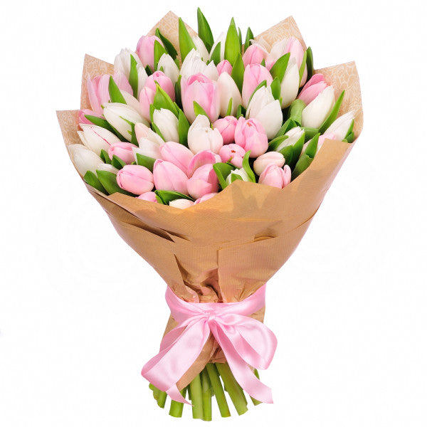 51 Pink and White Tulips