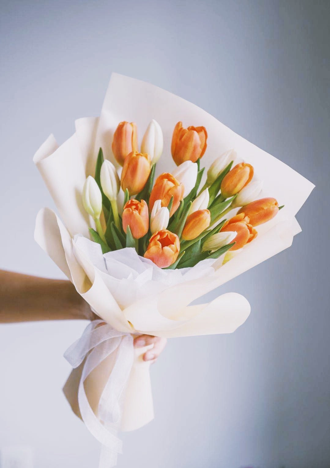 20 White and Orange Tulips