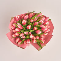 Tulips Collections | Affordable Tulips | Tulip Flower Delivery Dubai