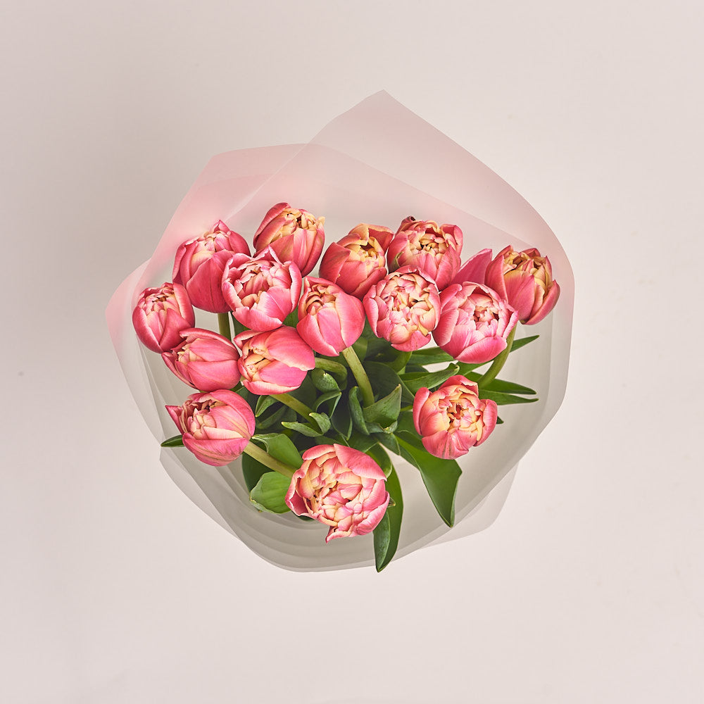 15 Double Color Tulip Bouquet